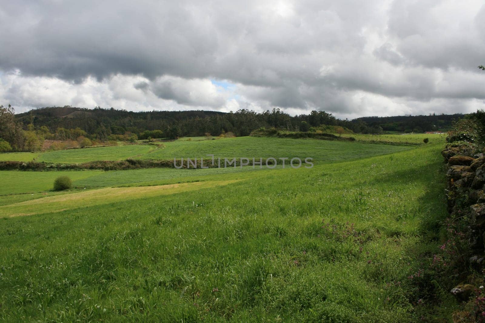 Galicia,Spain,at the way of St. James famous european pilgrims way