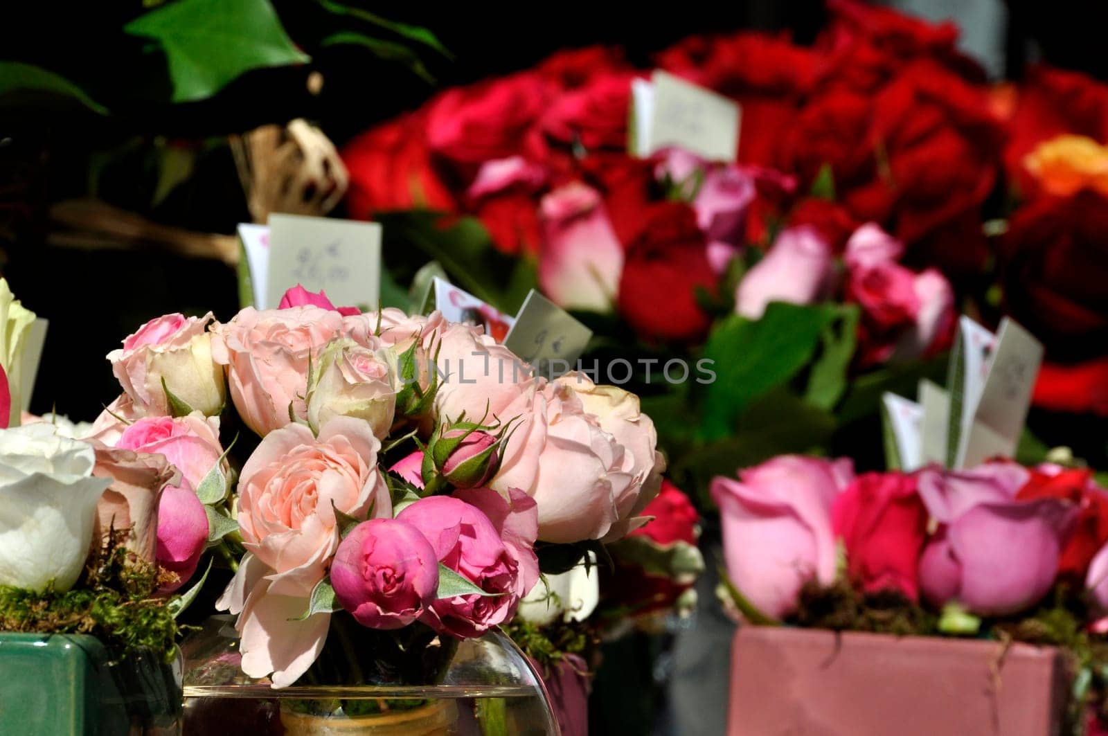Roses on a florist stall