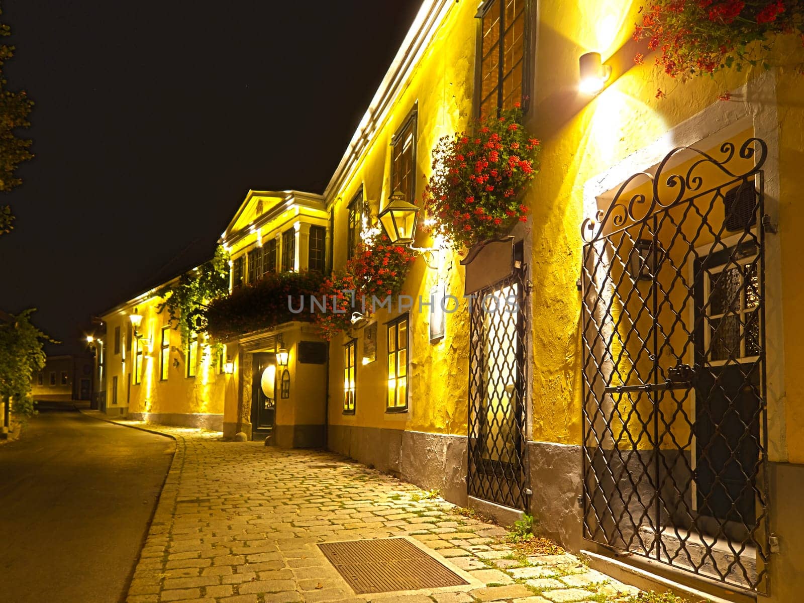 Grinzing in Vienna,known as a wine tavern town and district of the capital