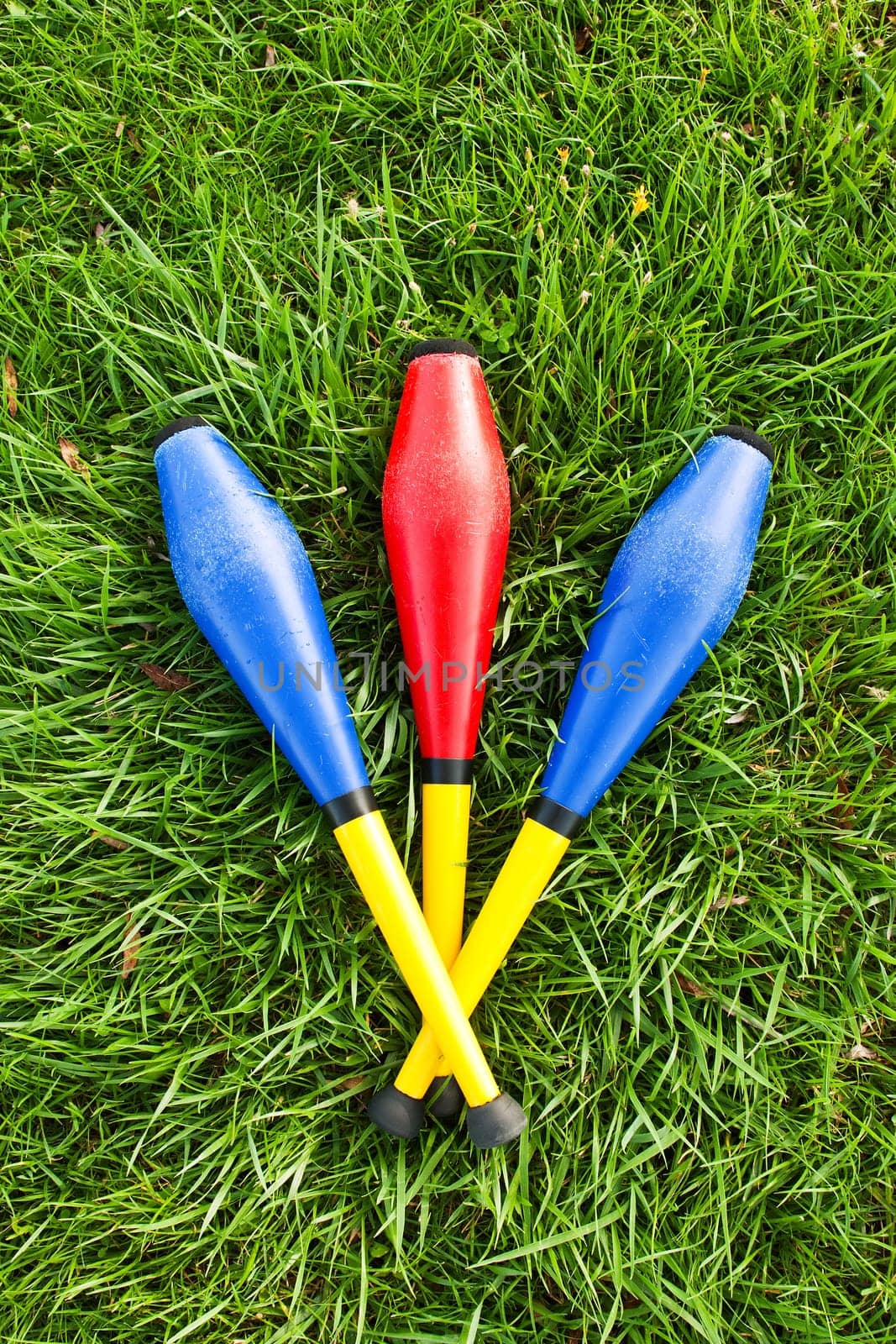 Three juggling pins in the meadow