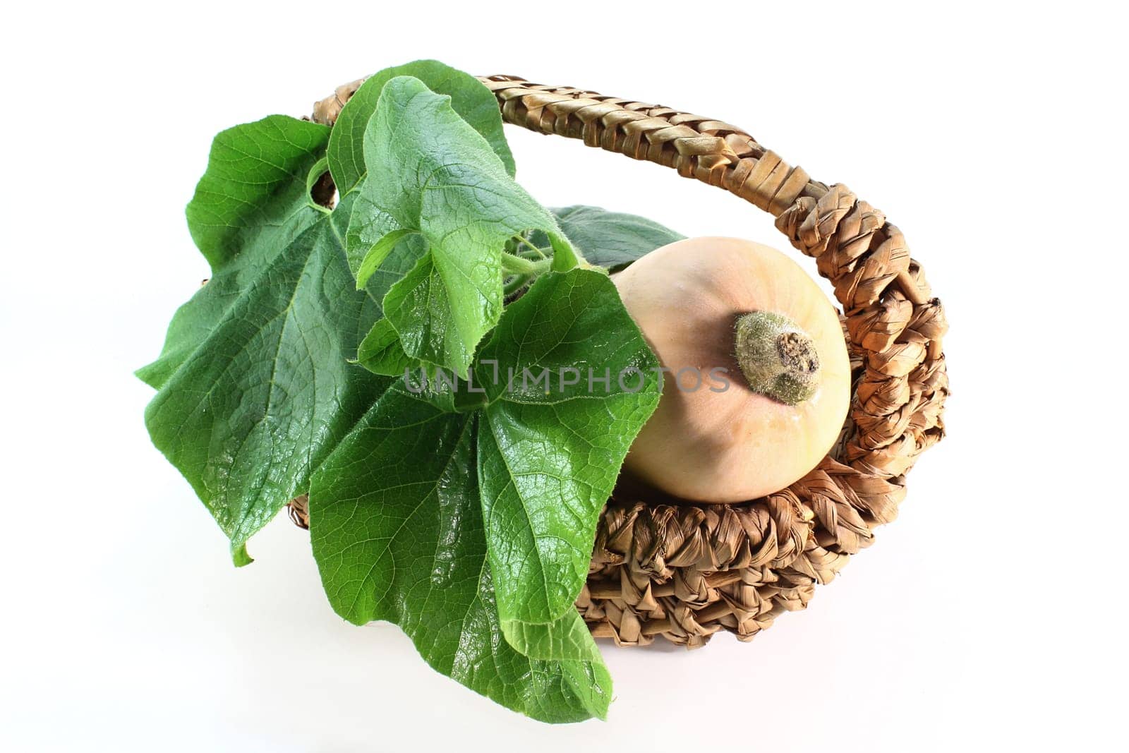 a pumpkin with leaves against a white background