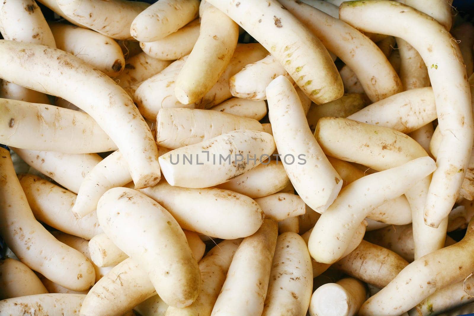 Daikon radish background