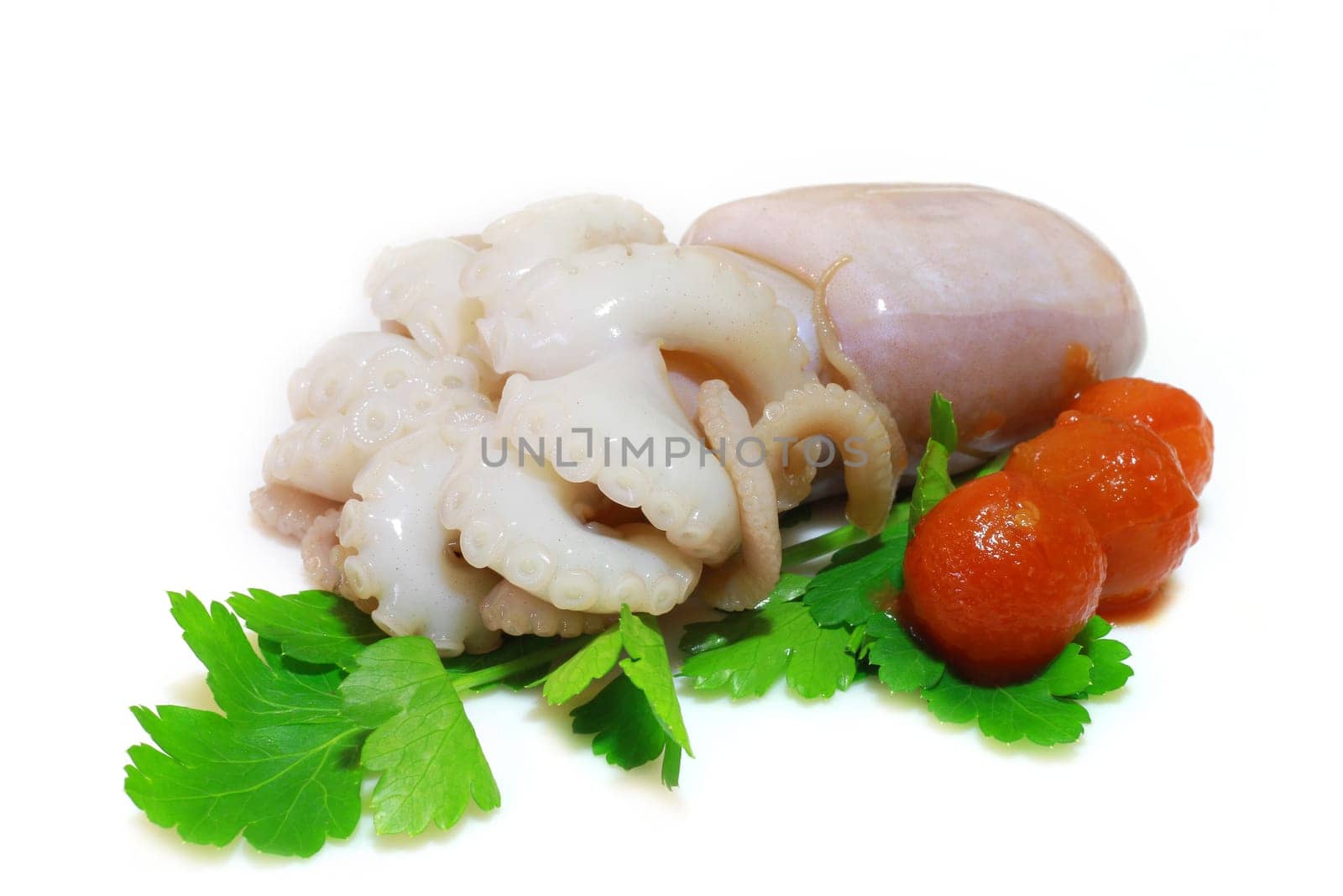cuttlefish