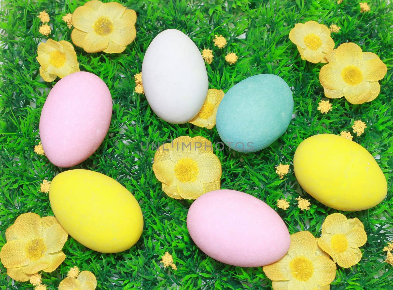 colorful easter eggs in a field of grass