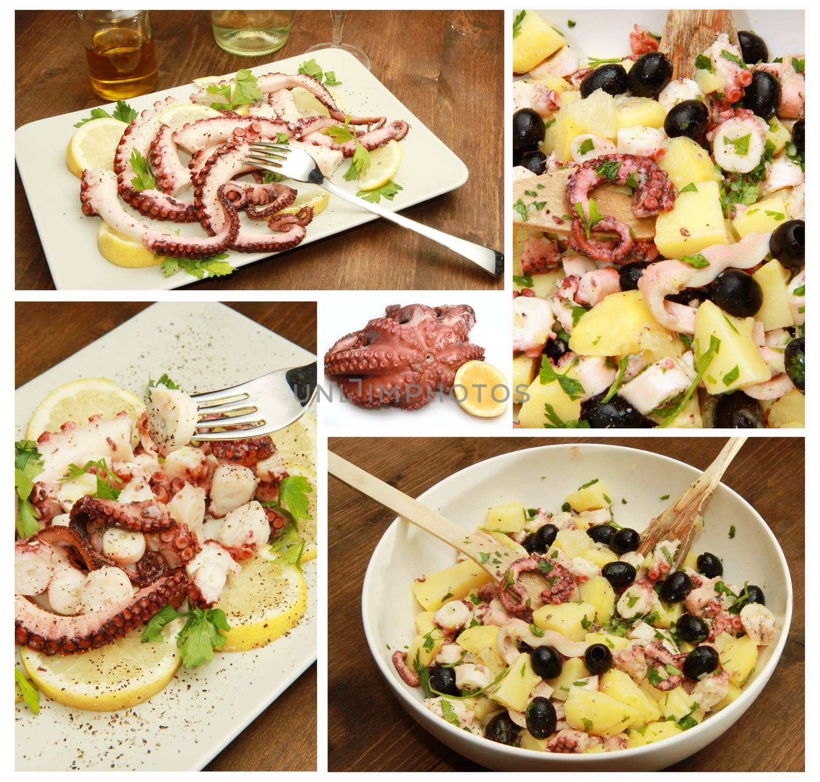 octopus salad