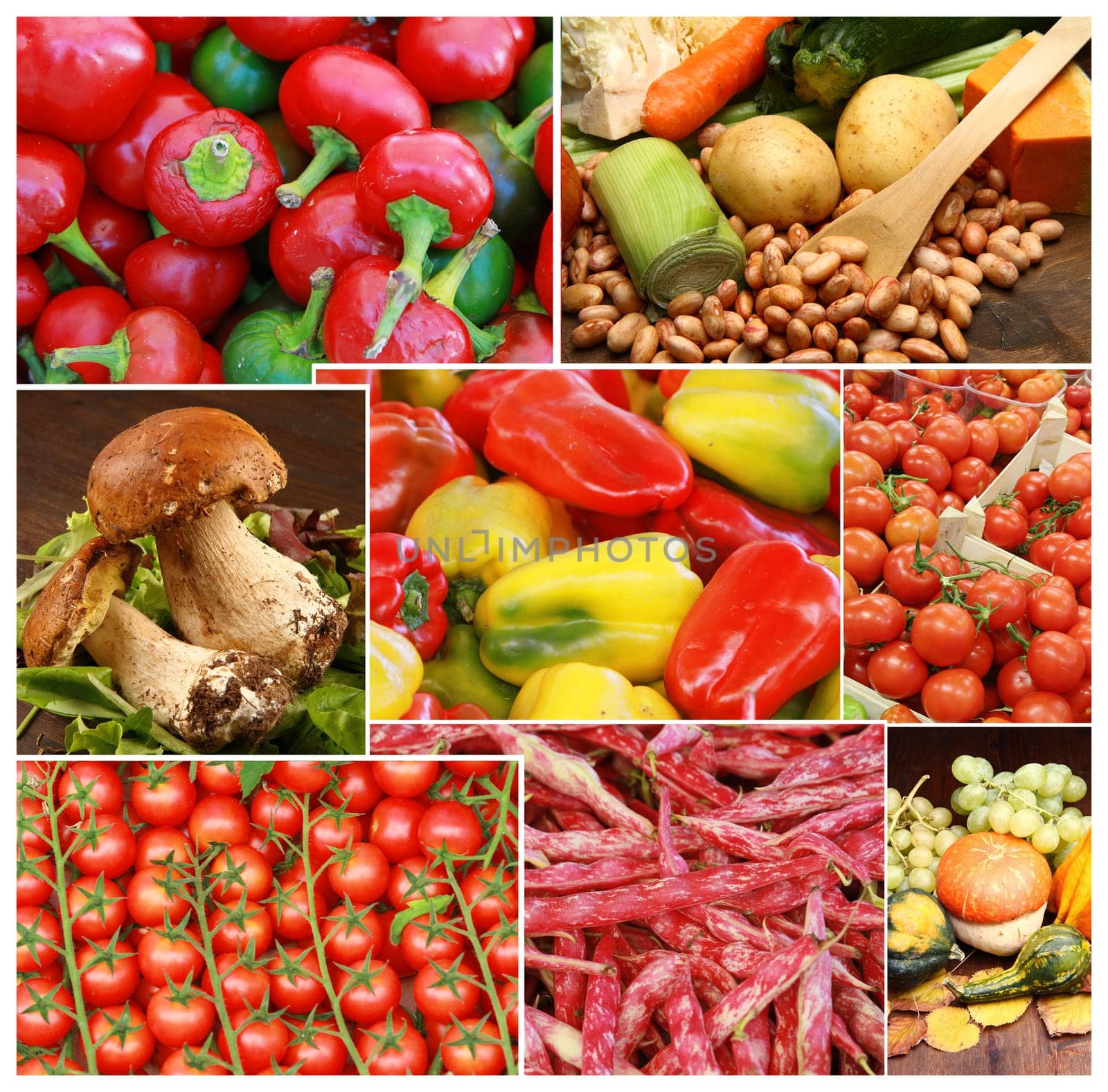 collage of vegetable