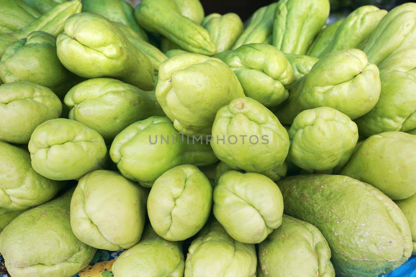 Background of organic choko Sechium edule vegetable pears