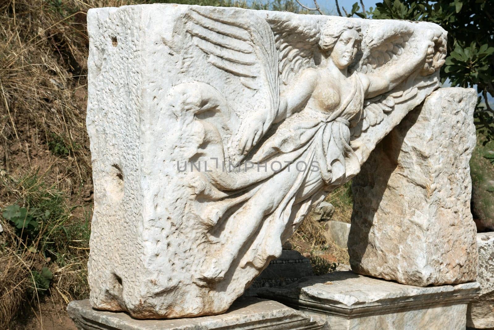 The Angel of Ephesus