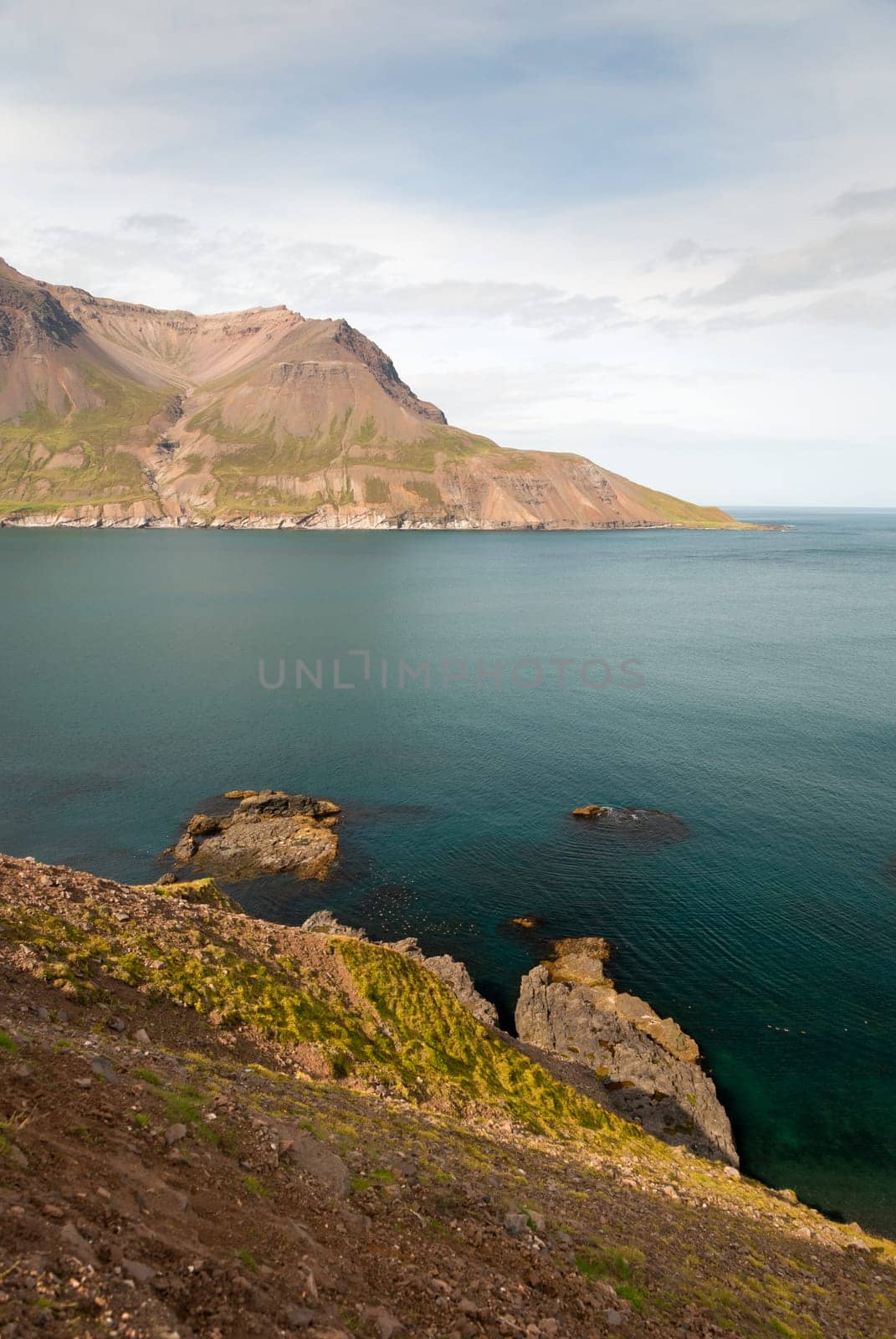 fiordo borgarfjordur in iceland