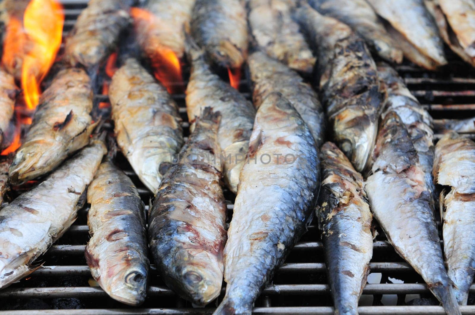 Detail grilled fish on outdoor barbecue grill.