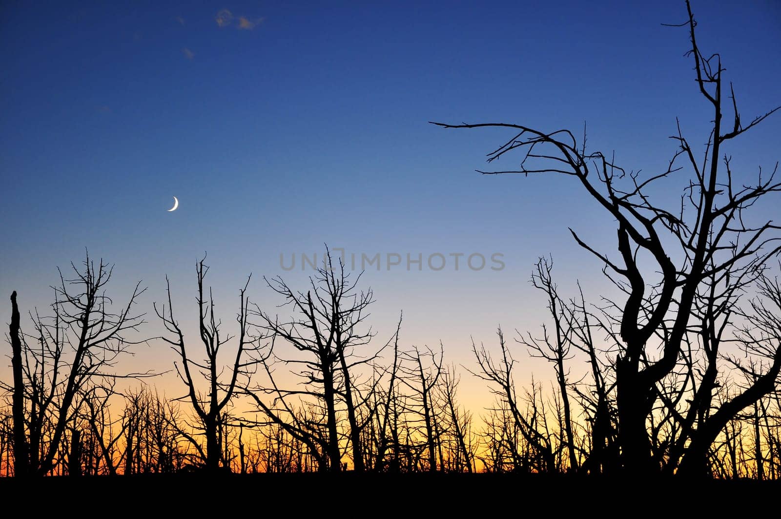 Sunset in Mesa Verde National Park,Colorado,USA
