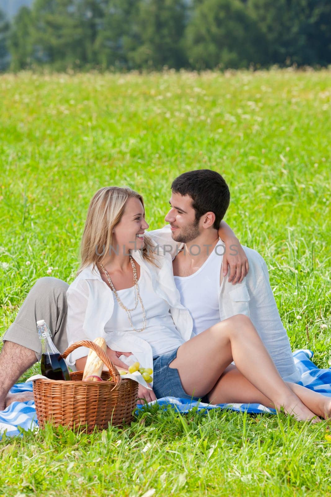 Picnic - Romantic happy couple in meadows nature sunny day