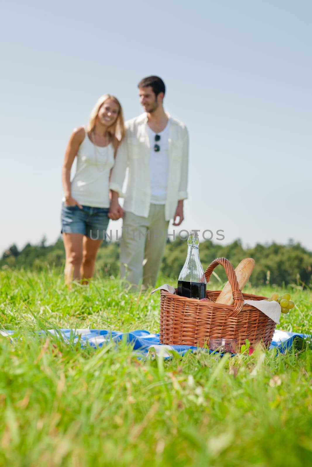 Picnic basket - Romantic happy couple in meadows nature sunny day