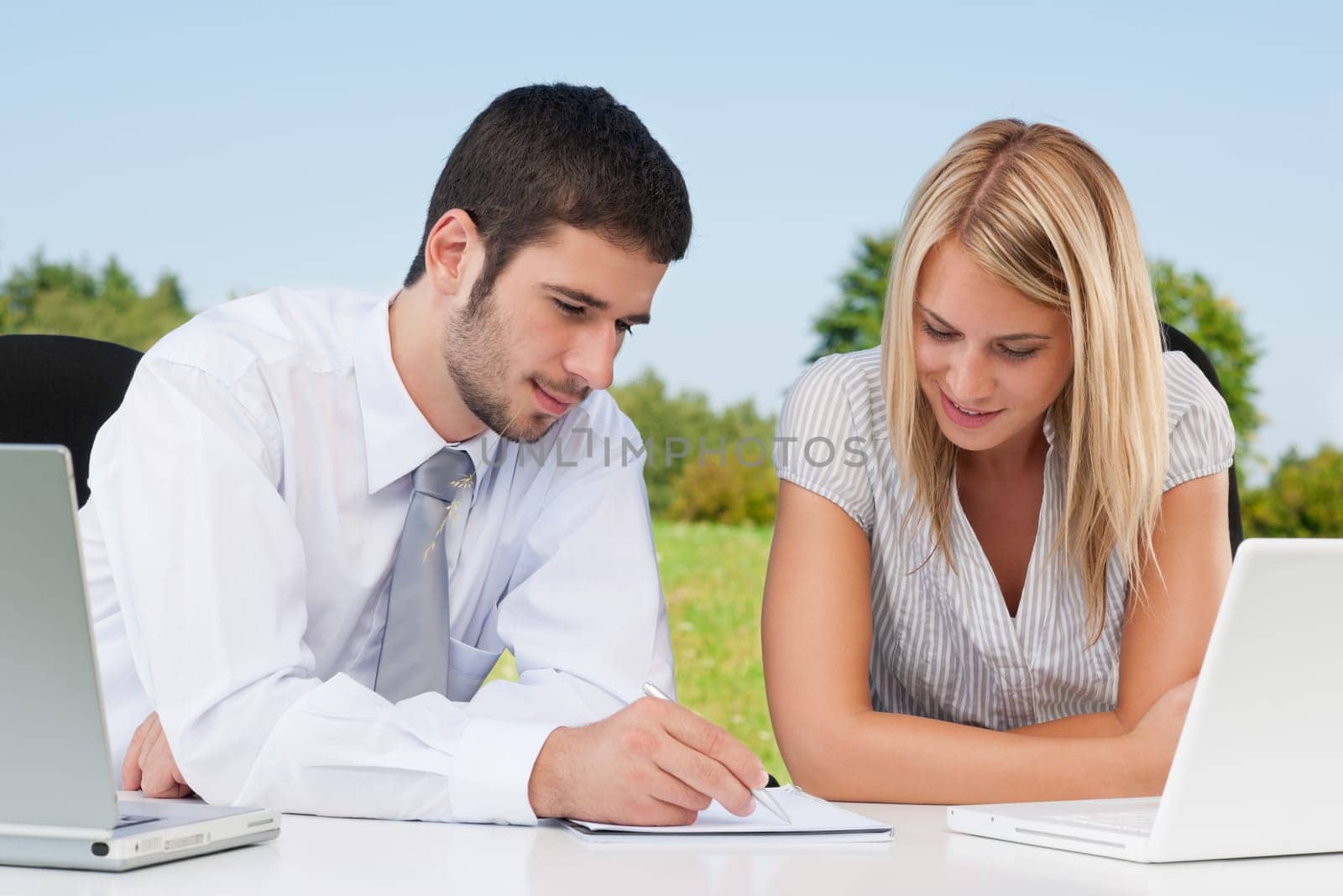 Business colleagues in nature office working with laptop write notes