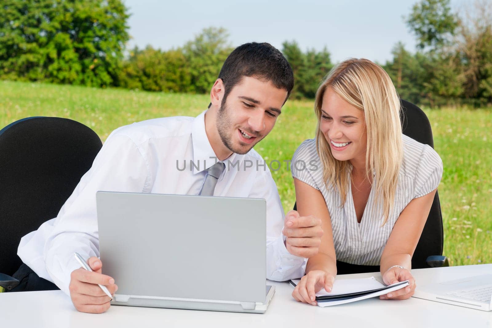 Business colleagues in nature office working on laptop smile