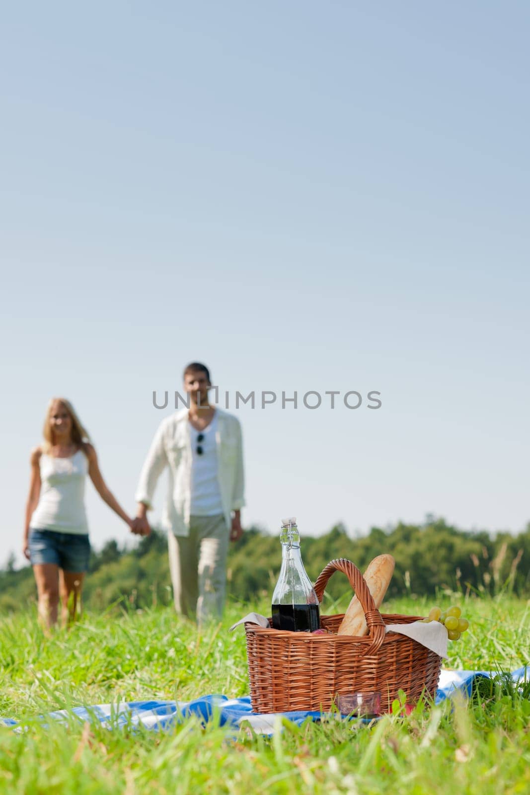 Picnic basket - Romantic happy couple in meadows nature sunny day