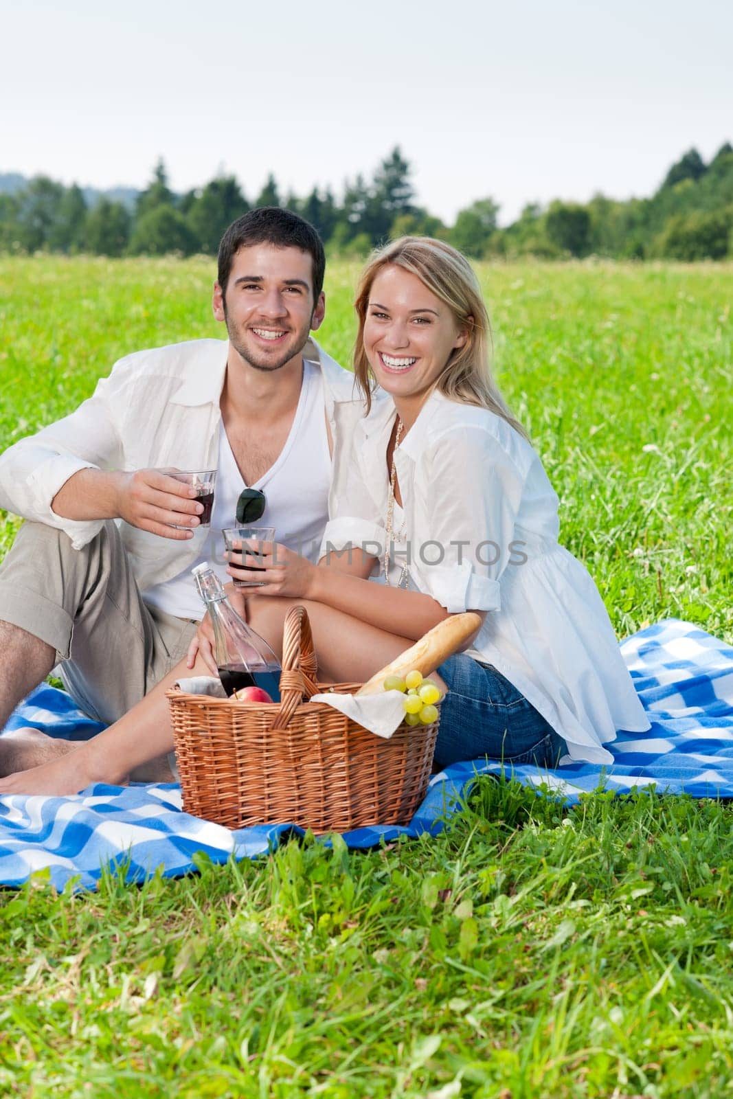 Picnic - Romantic happy couple celebrating with wine in sunny nature