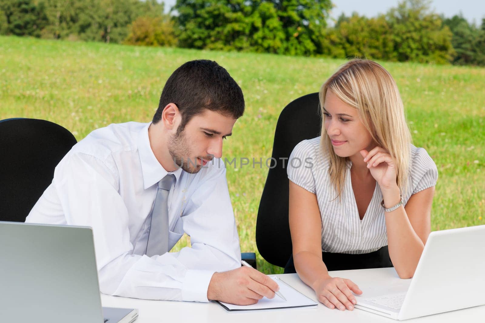 Business colleagues in nature office working on laptop smile