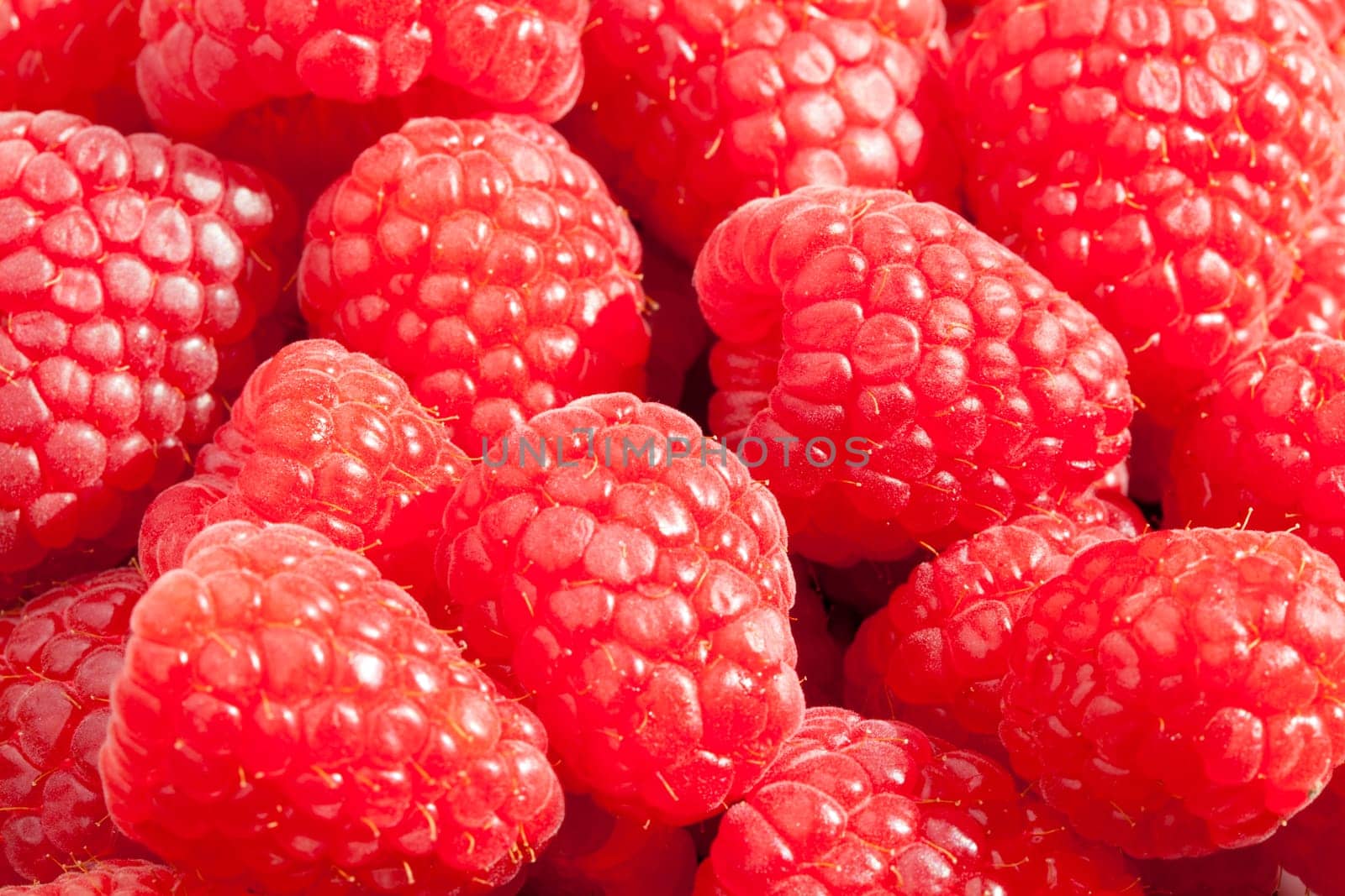 Extreme closeup of fresh ripe raspberries