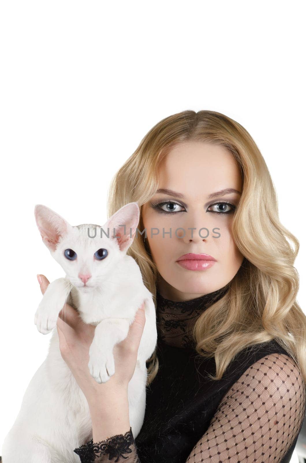 beauty young blond woman with oriental shorthair cat on a white