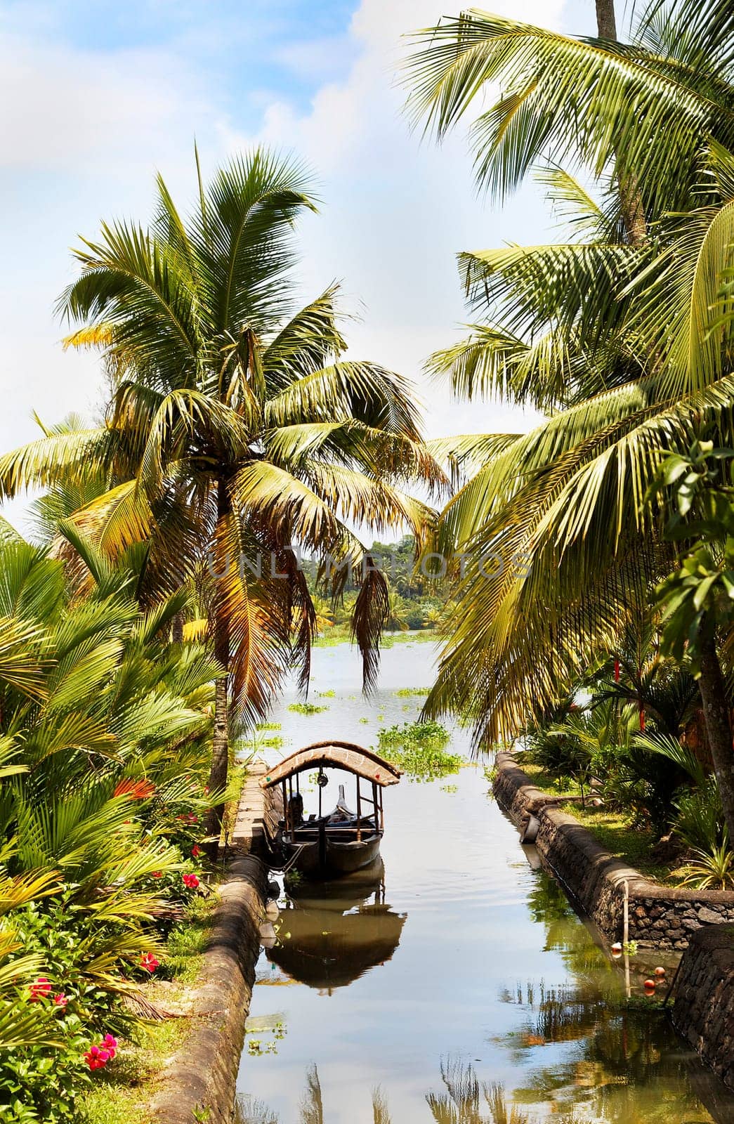 Side artery canal scene of small taxi boat Kerala backwaters India, coconut trees, palm leaves, flora, water, lake, reflections, blue sky with clouds, portrait landscape with copy space and crop area