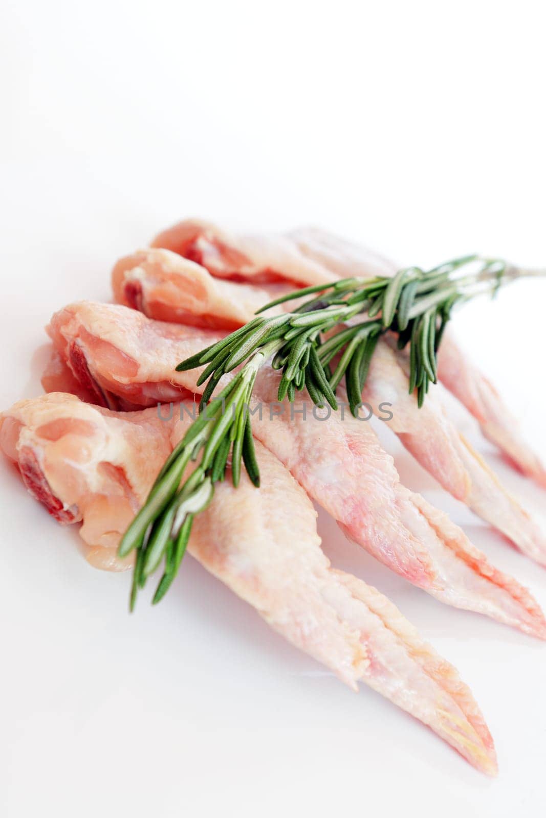 raw chicken wings with rosemary on white background