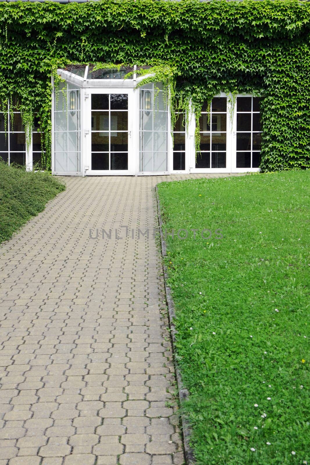 modern building with glass door and ivy