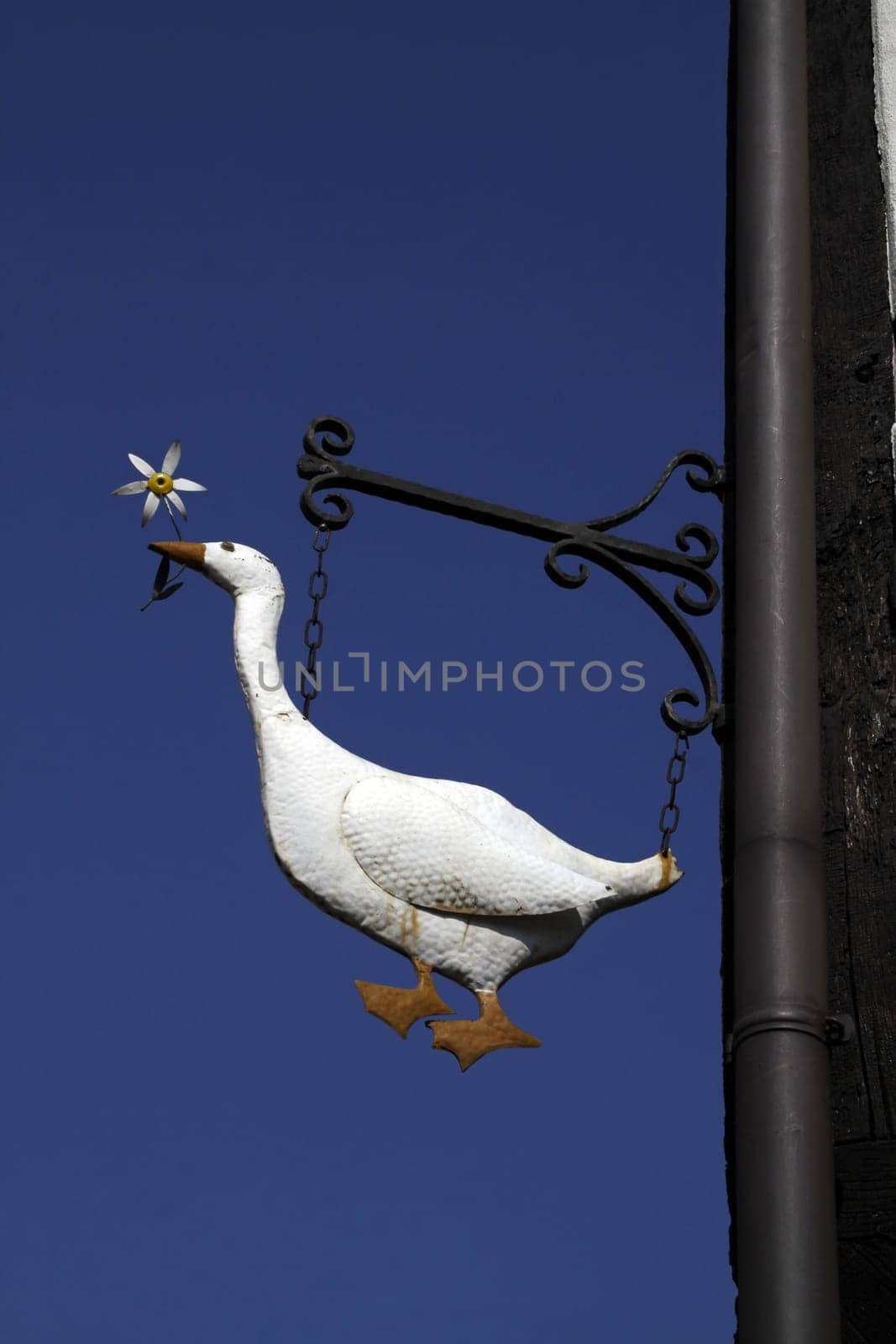 Goose as a shop sign