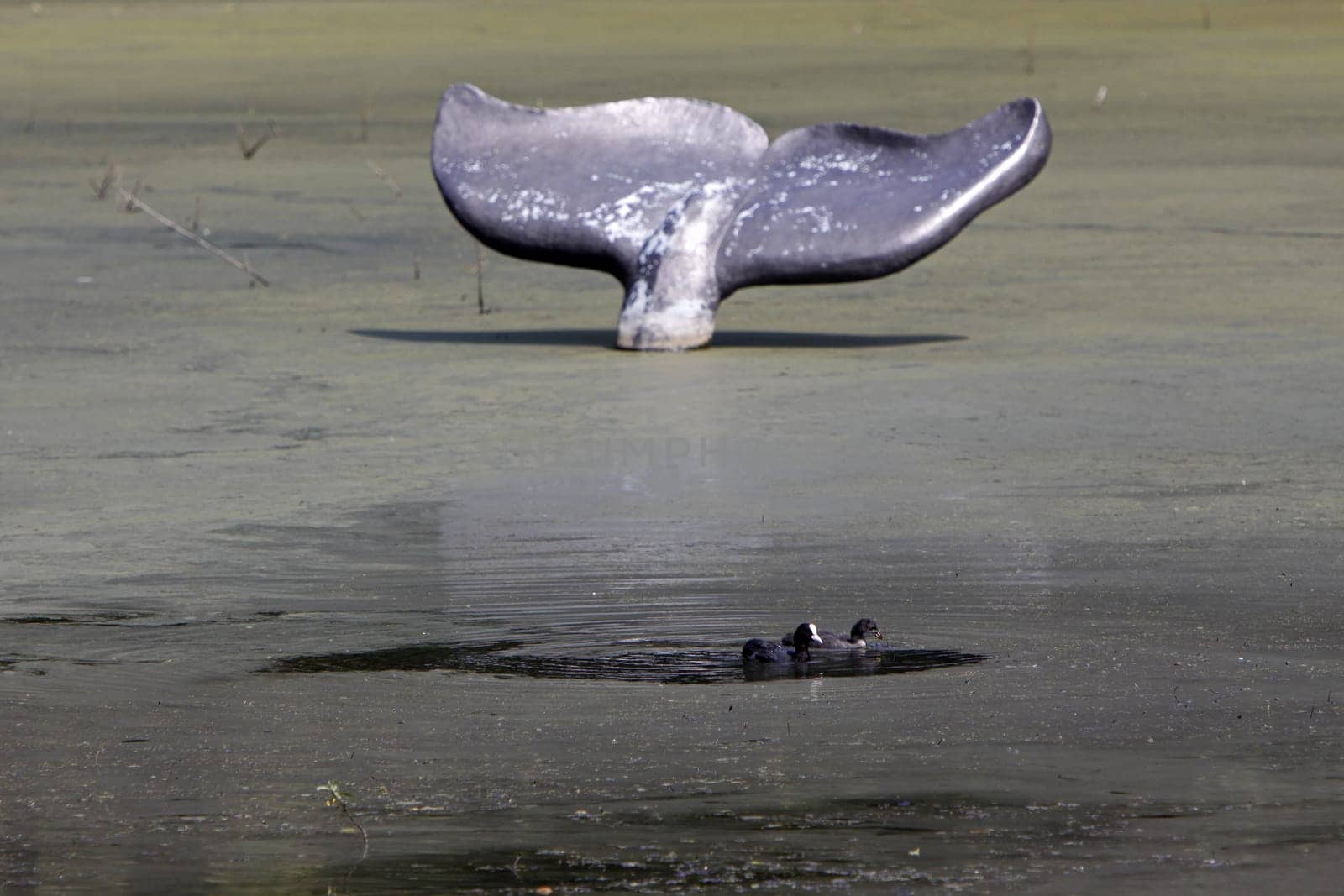 Sculpture Walfluke in the Olderdissen Zoo