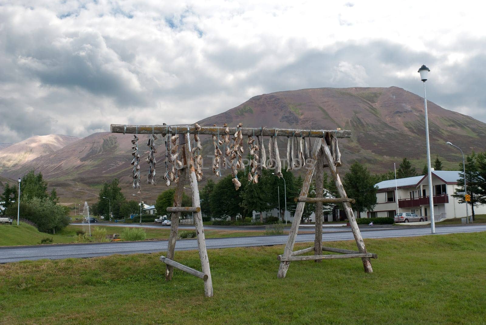 the process of drying cod in iceland