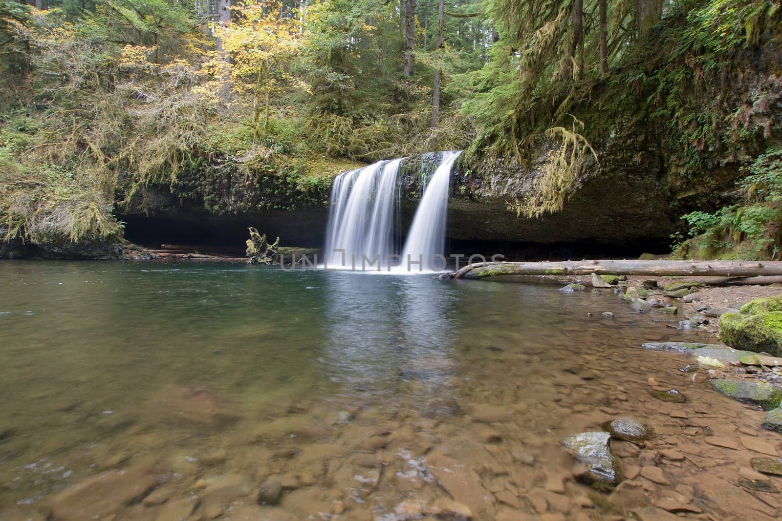 Upper Butte Creek Falls Waterfall in Scotts Mills Oregon