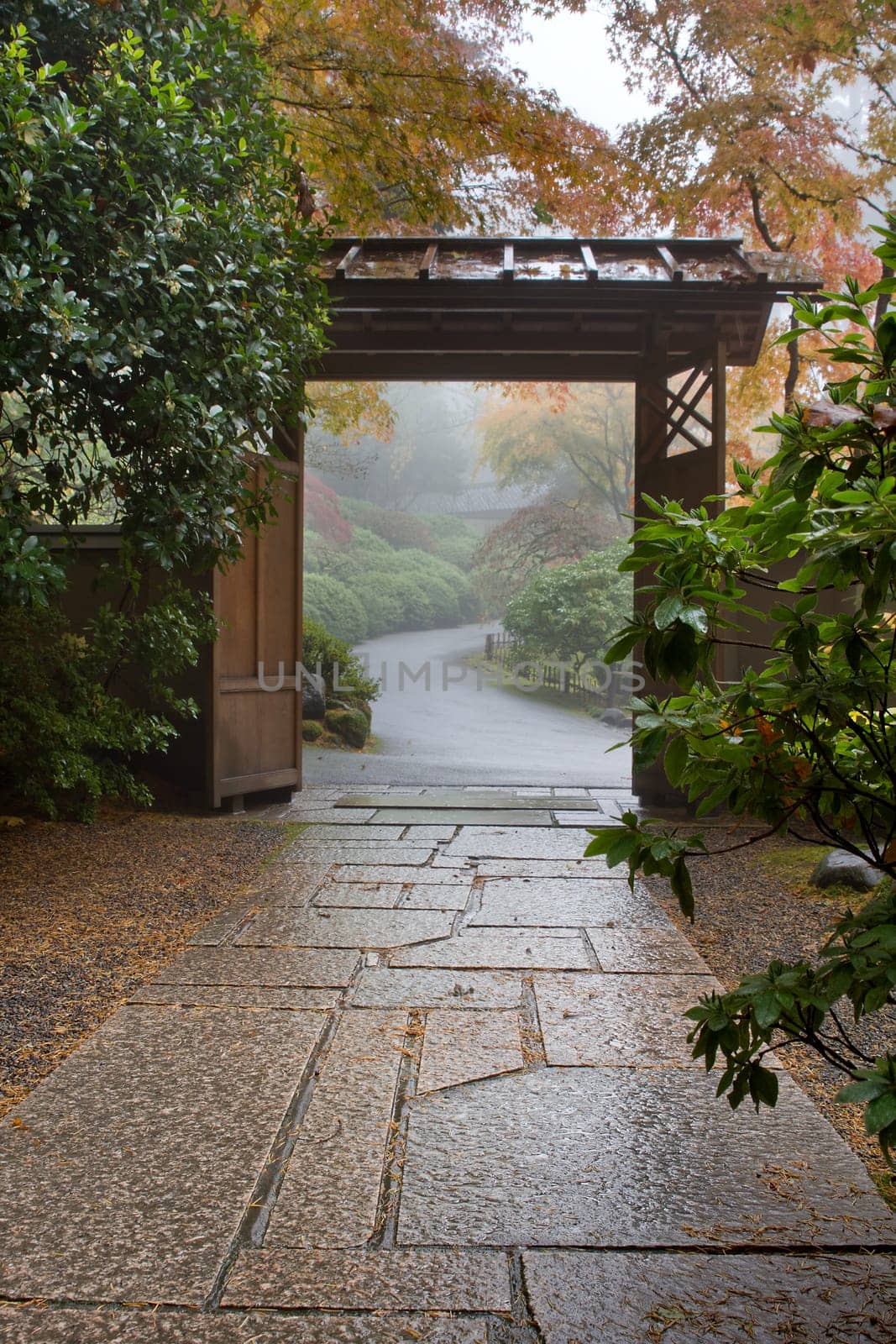 Stone Path in Japanese Garden Foggy Morning in Fall