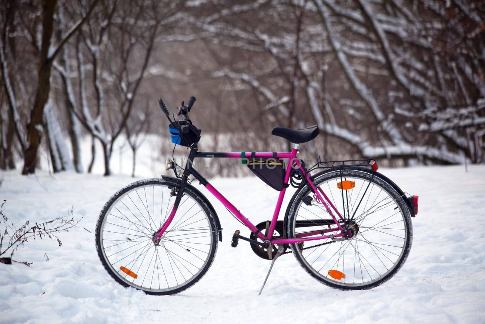 Bikes standing on snowy road in the woods