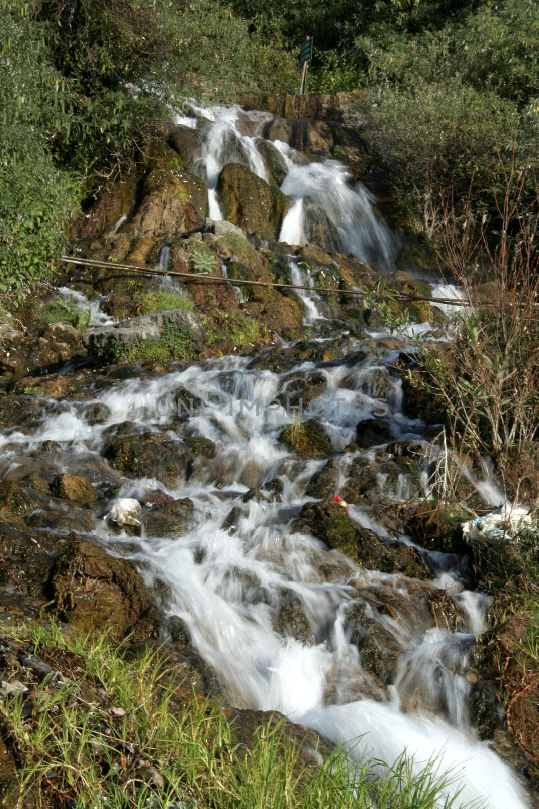White, foamy water flowing through and down the rocks in green surroundings