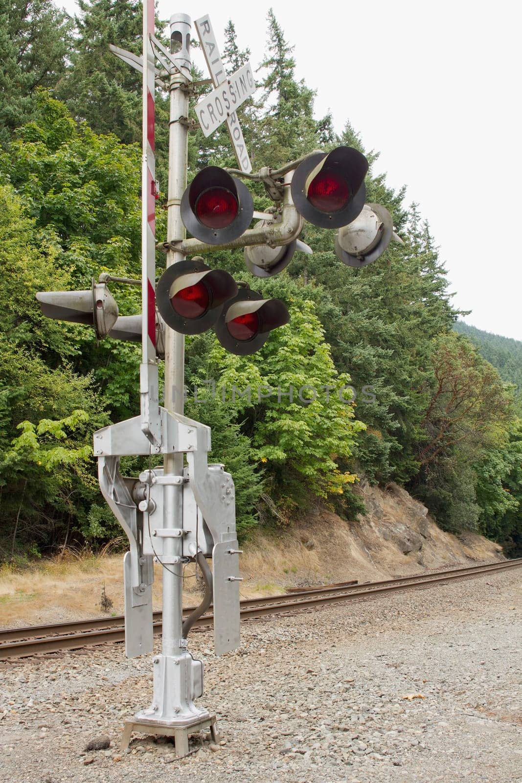 Railroad Crossing Signal in the Pacific Northwest
