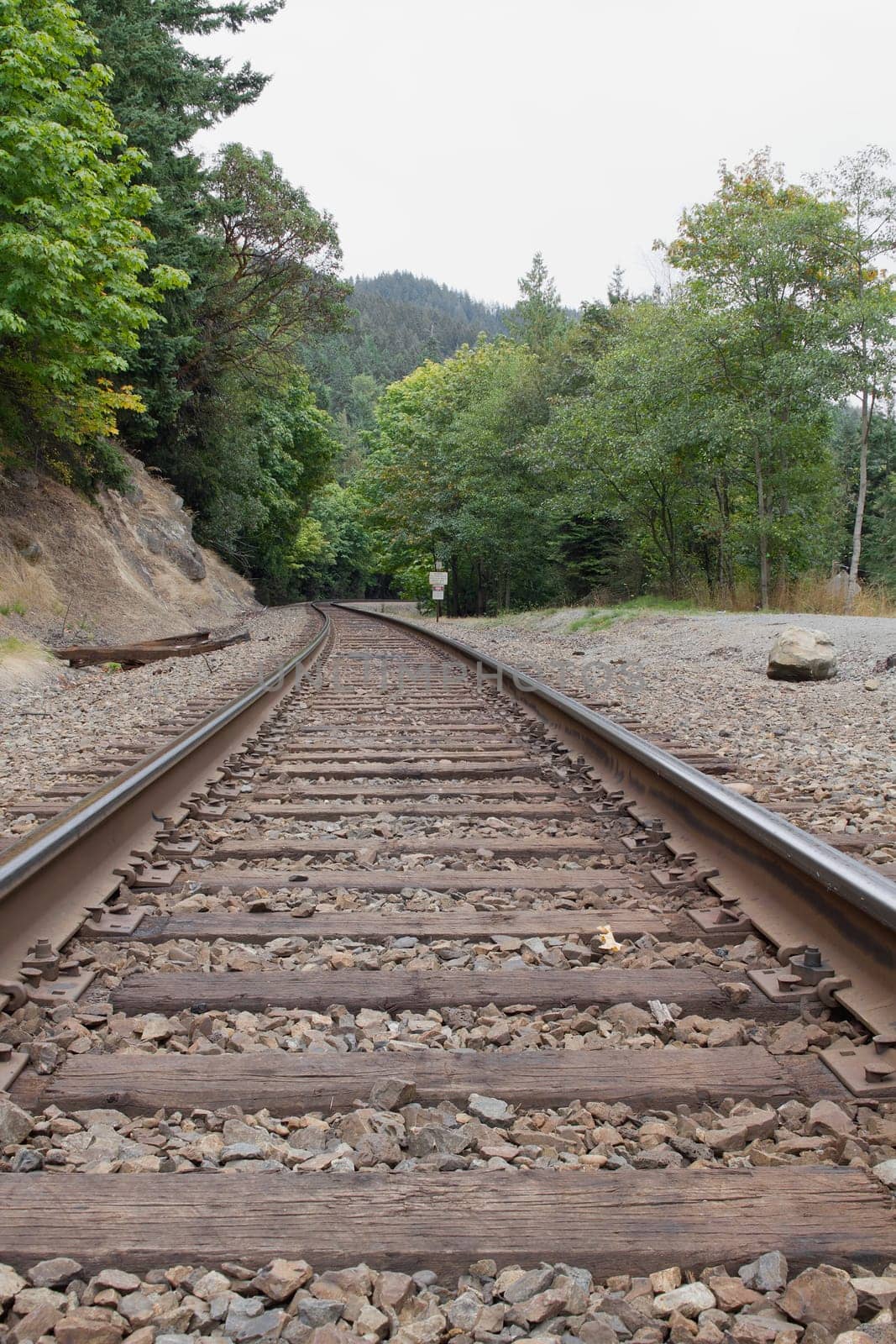 Railroad Tracks Through the Pacific Northwest Vertical