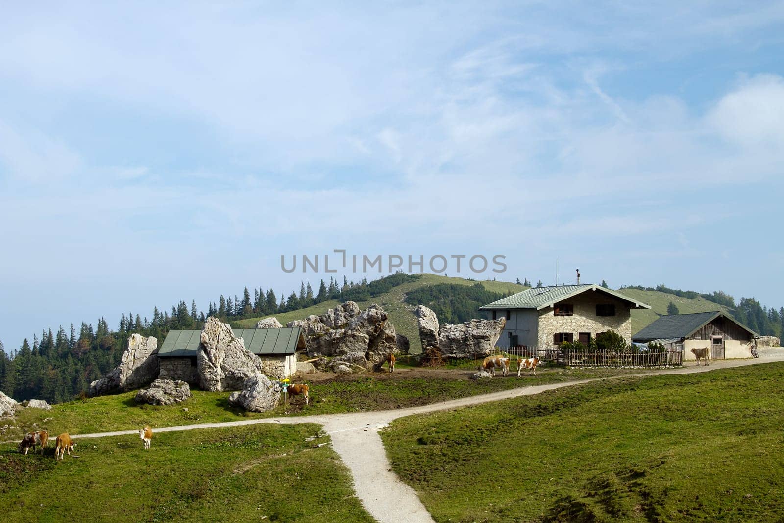 Steinlingalm I