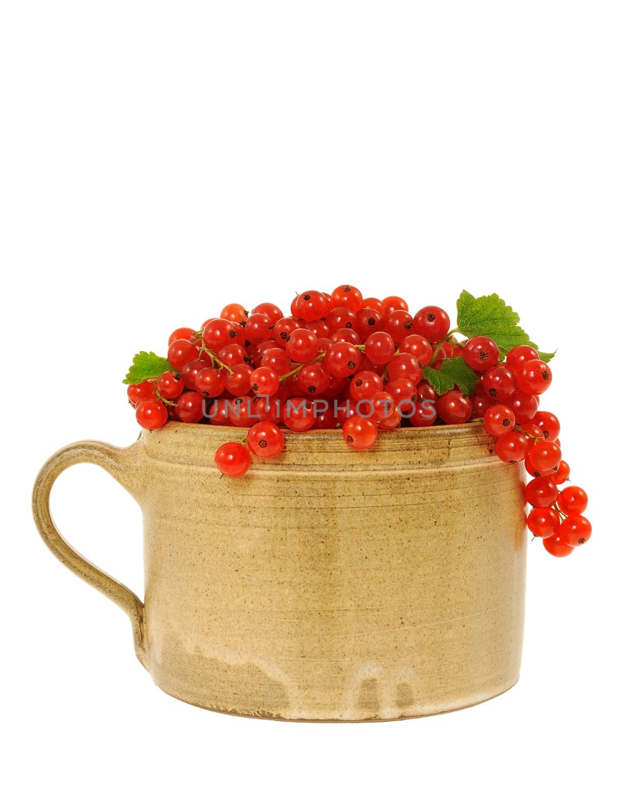 Ceramic cup full of fresh red currant berries. Clipping path included