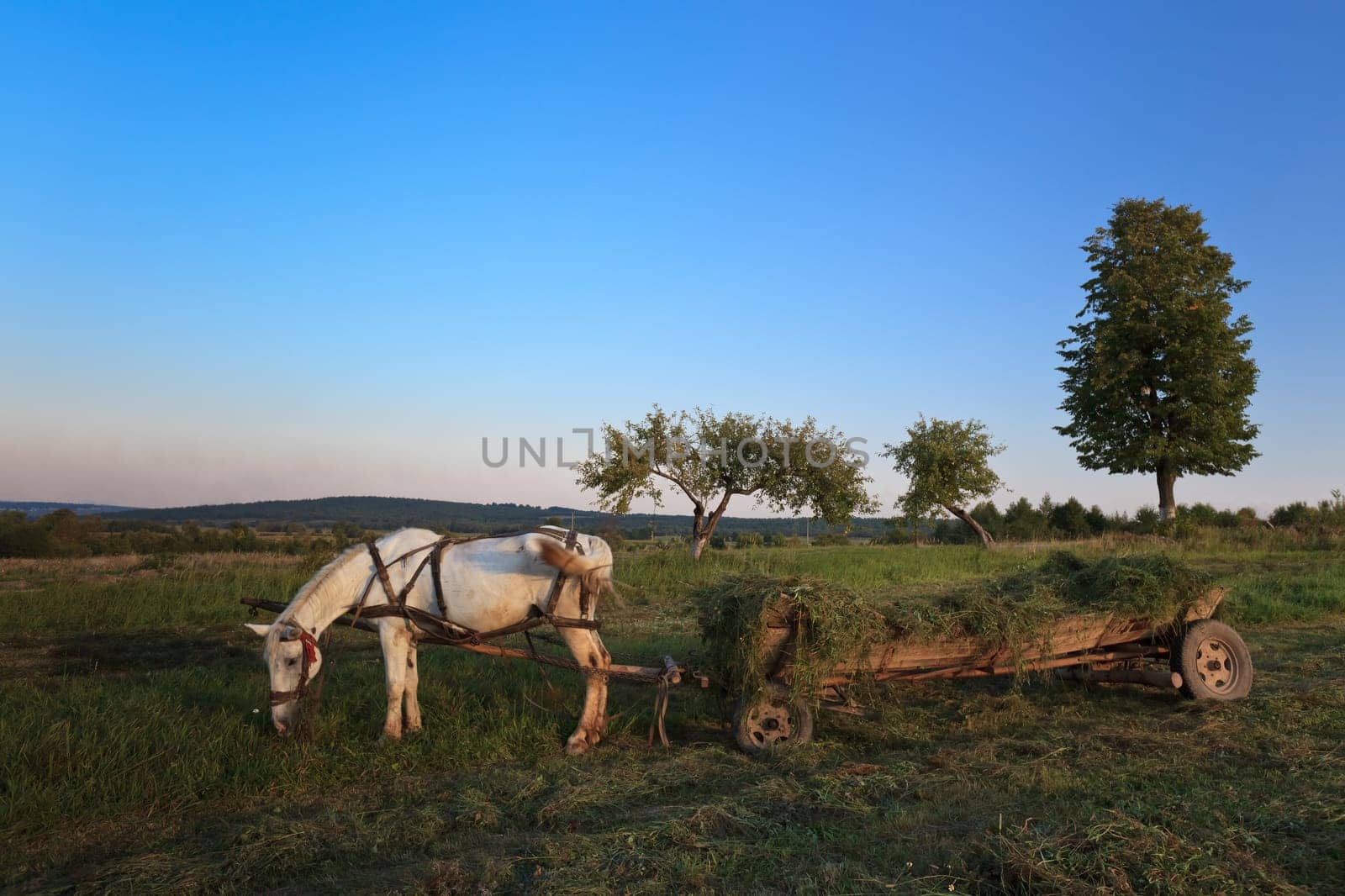a rustic landscape with a cart horse