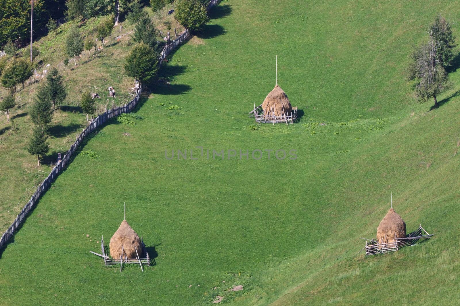a beautiful rural landscape in the autumn