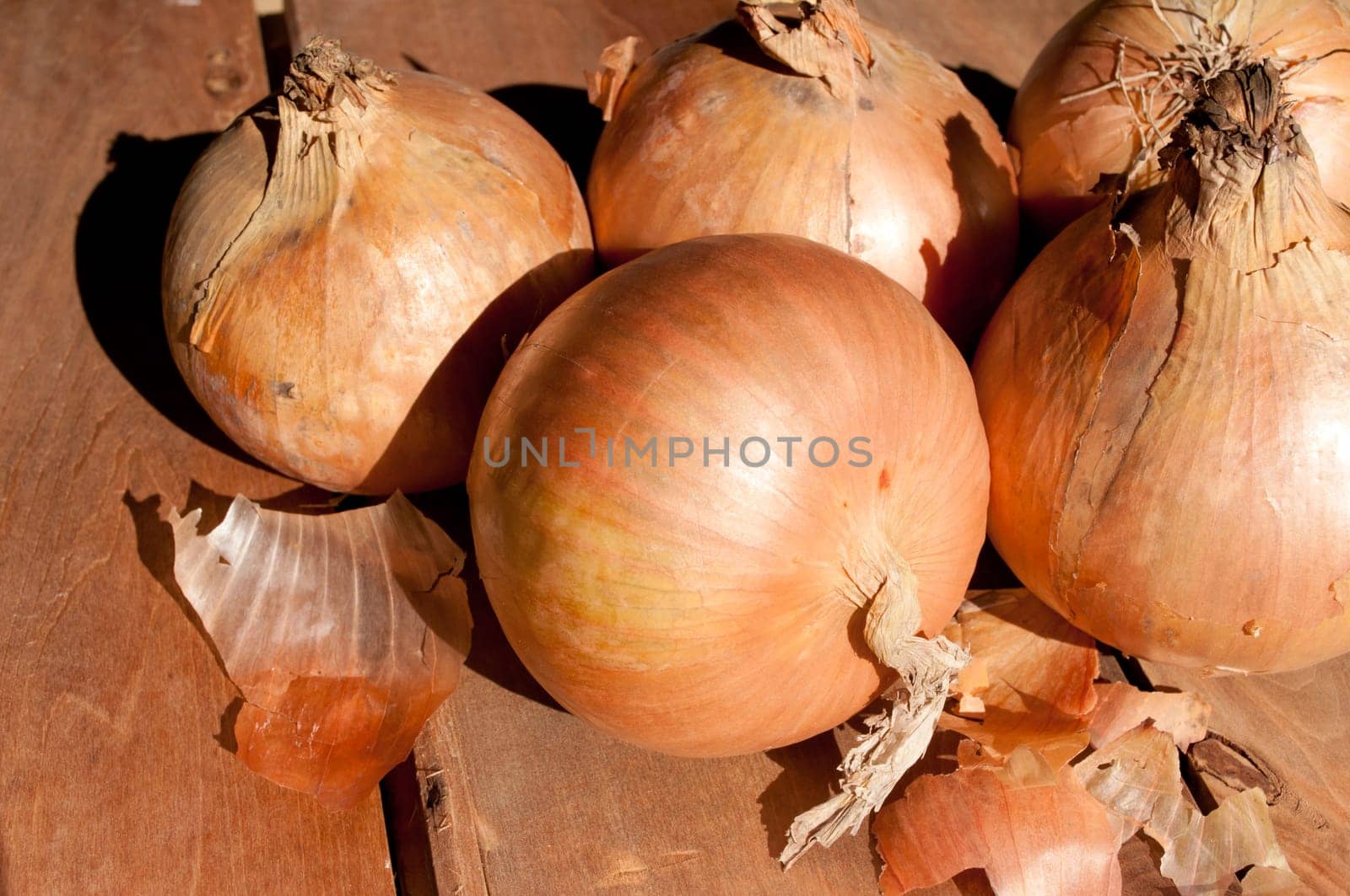 Yellow Onion on Wooden Table in Sunlight