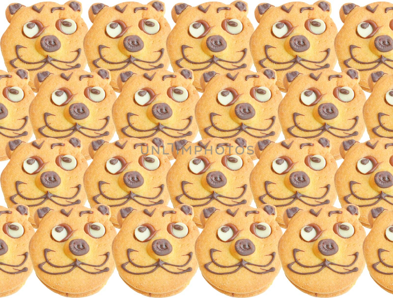 Range of homemade baked cookies with cat face isolated on white