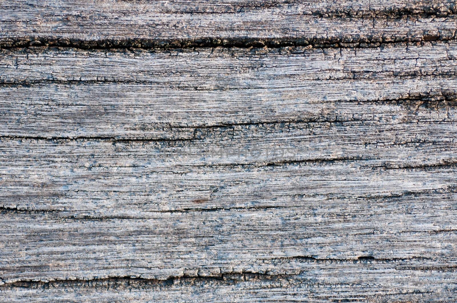 Weathered piece of wood as a background