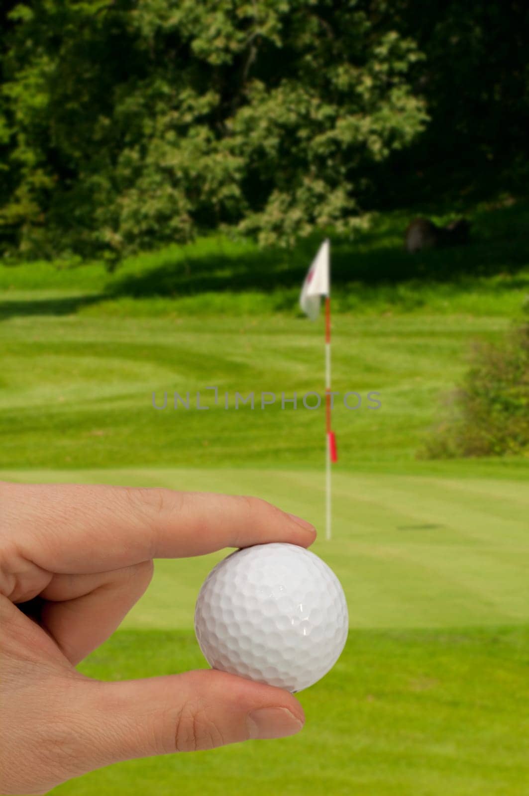 Hand Holding Golf Ball - Golf Green With Flag in Background
