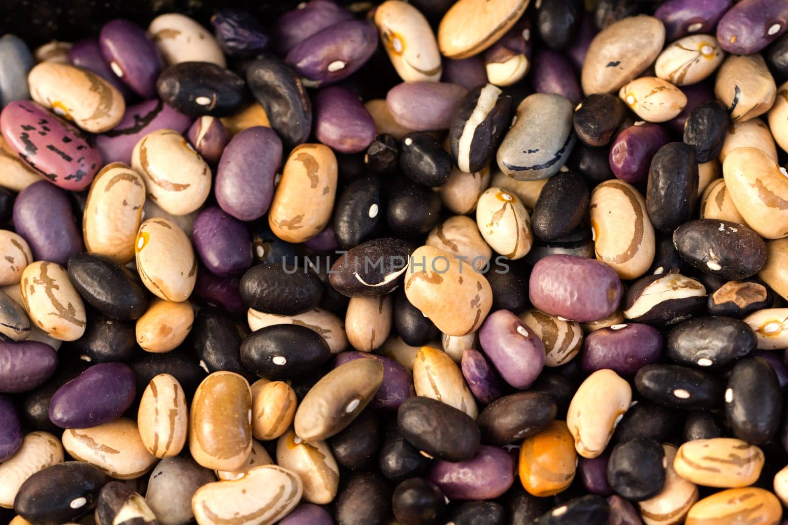 Colorful beans