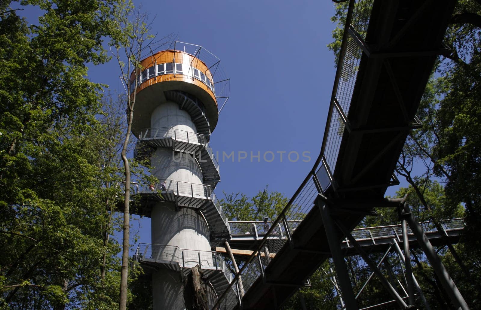 Treetop Walk in Hainich National Park