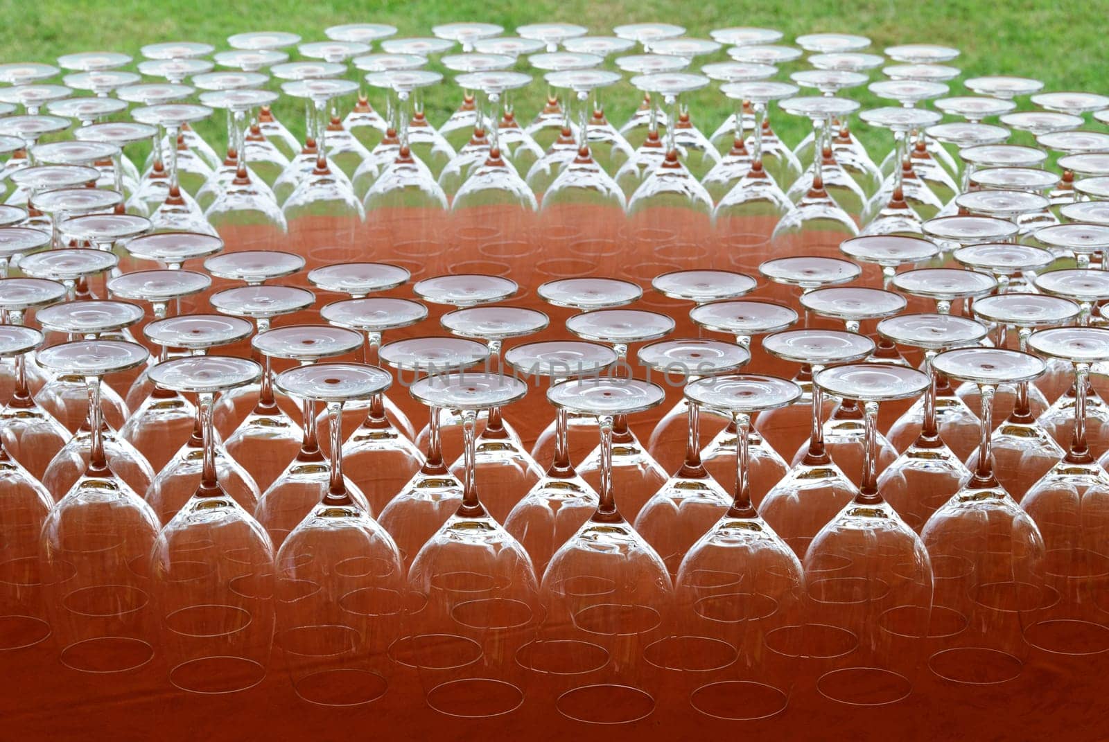 champagne glasses of orange tablecloth