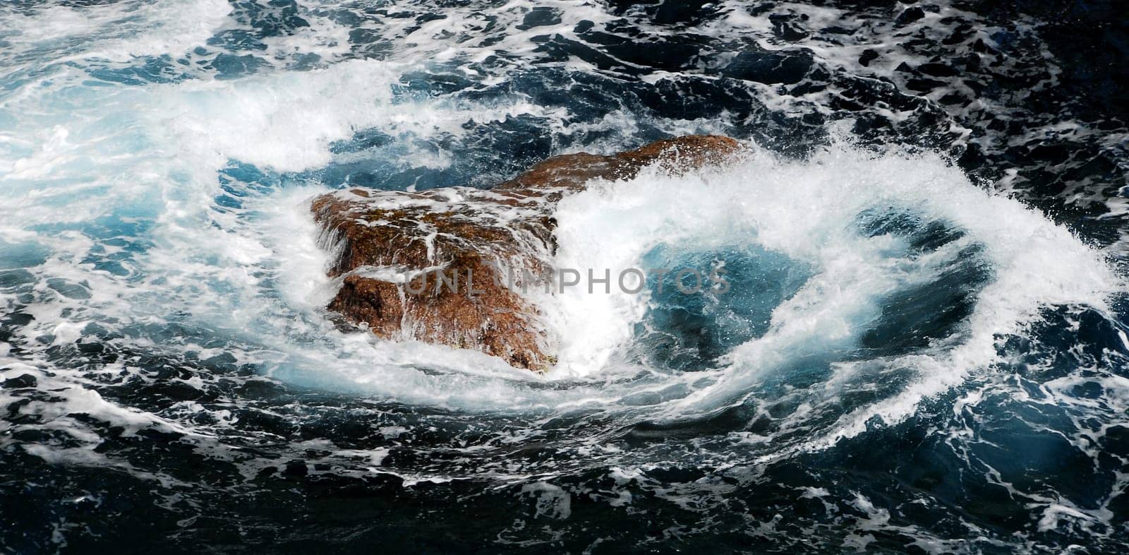 The Wave