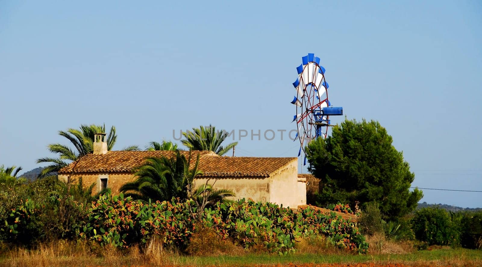 The windmill