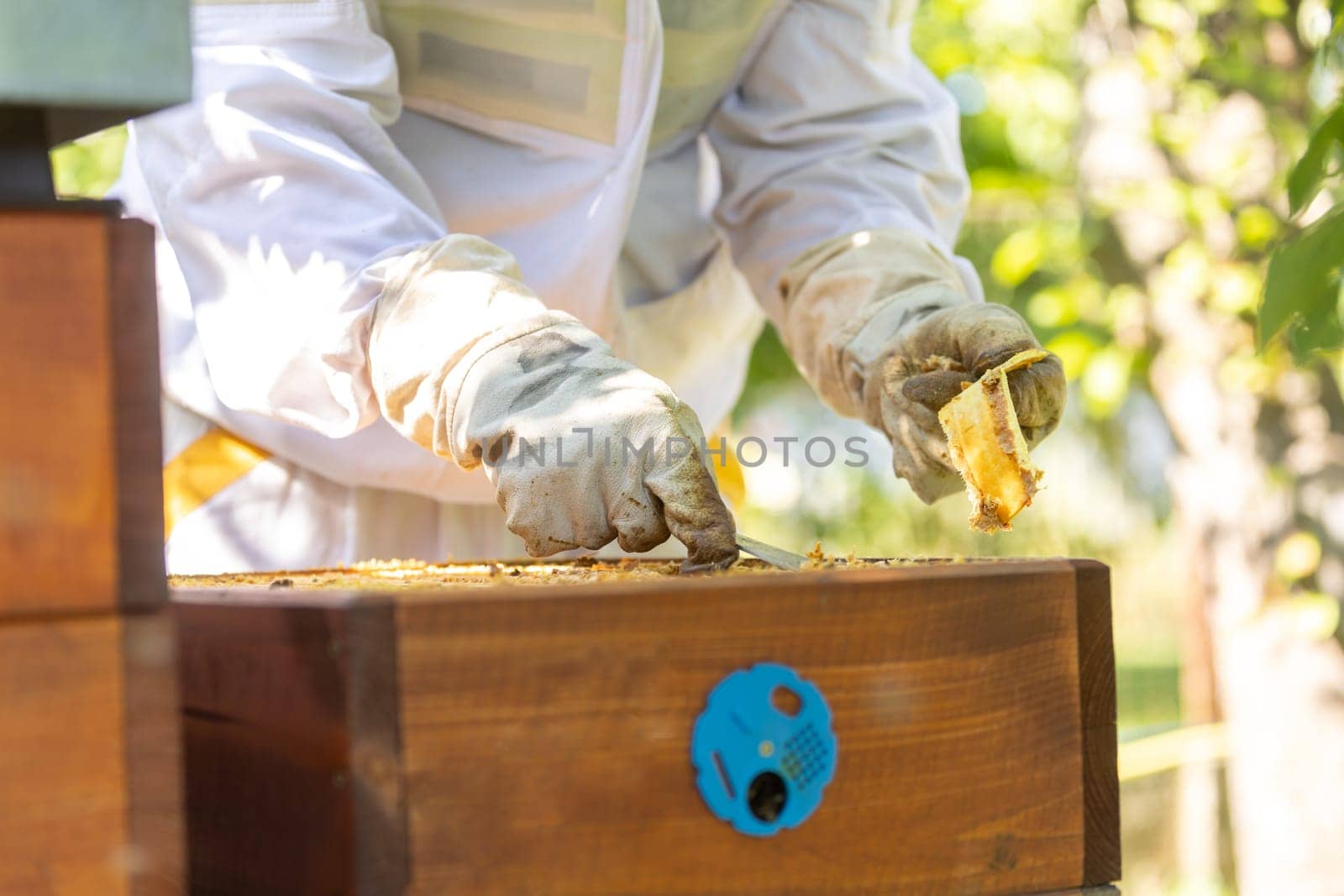 Beekeeper doing maintenance on his huge an apiary, removing old medication from honey comb, beekeeping concept